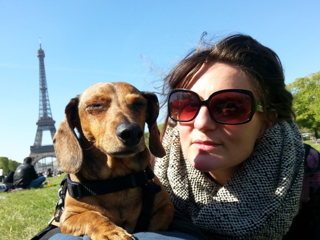 Eiffel hund and i
